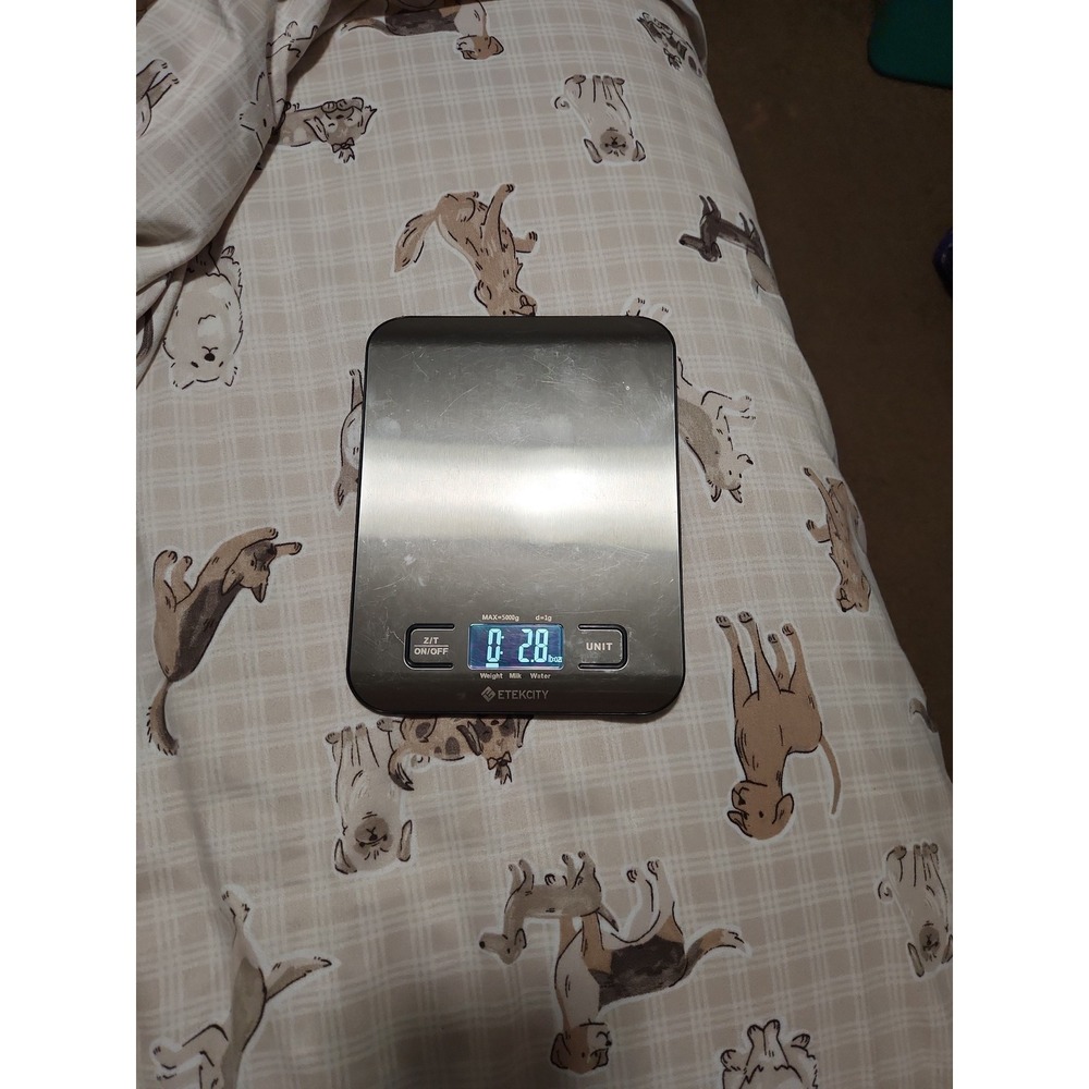 Digital food scale